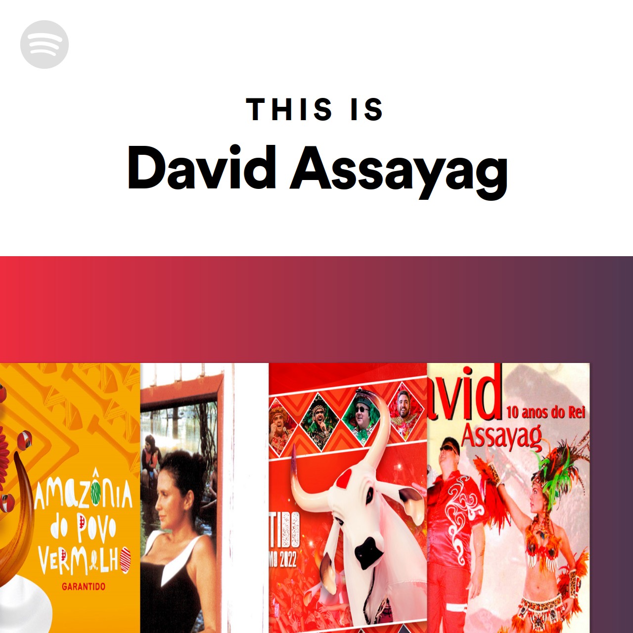 This Is David Assayag Spotify Playlist