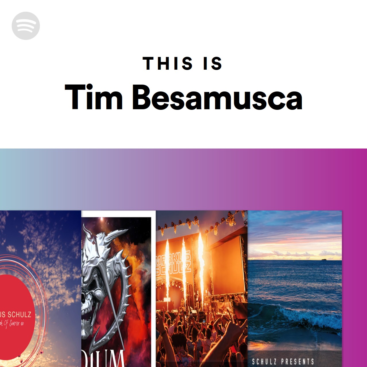 This Is Tim Besamusca Spotify Playlist