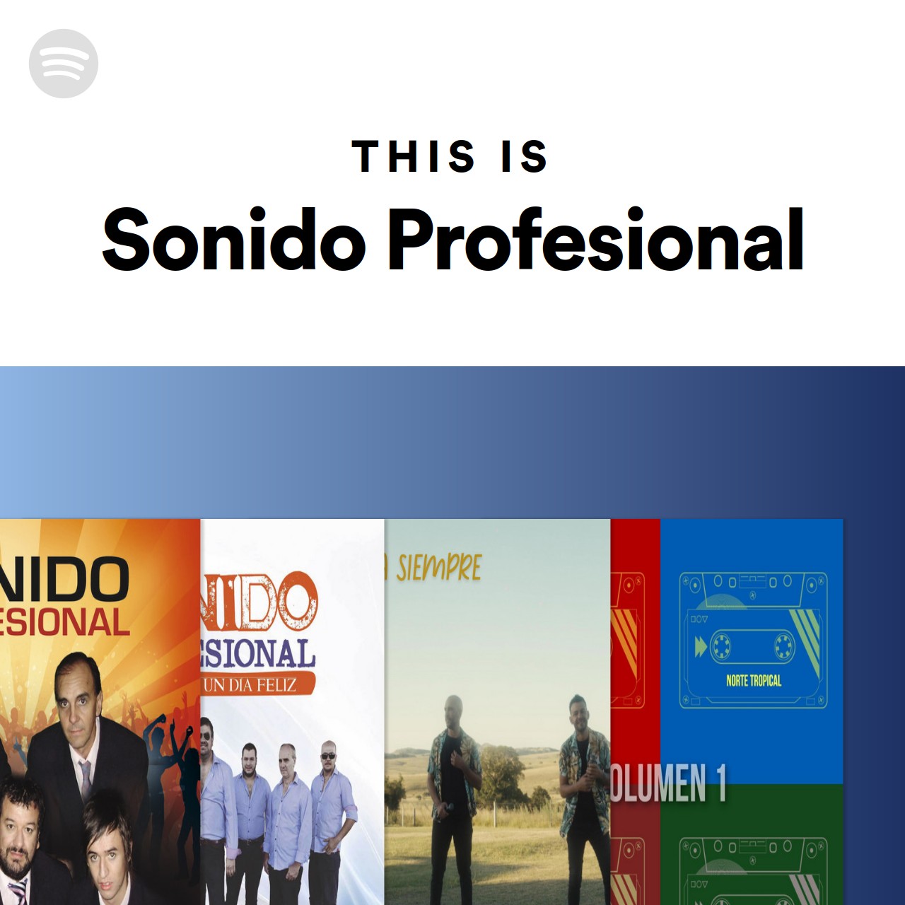 This Is Sonido Profesional Spotify Playlist