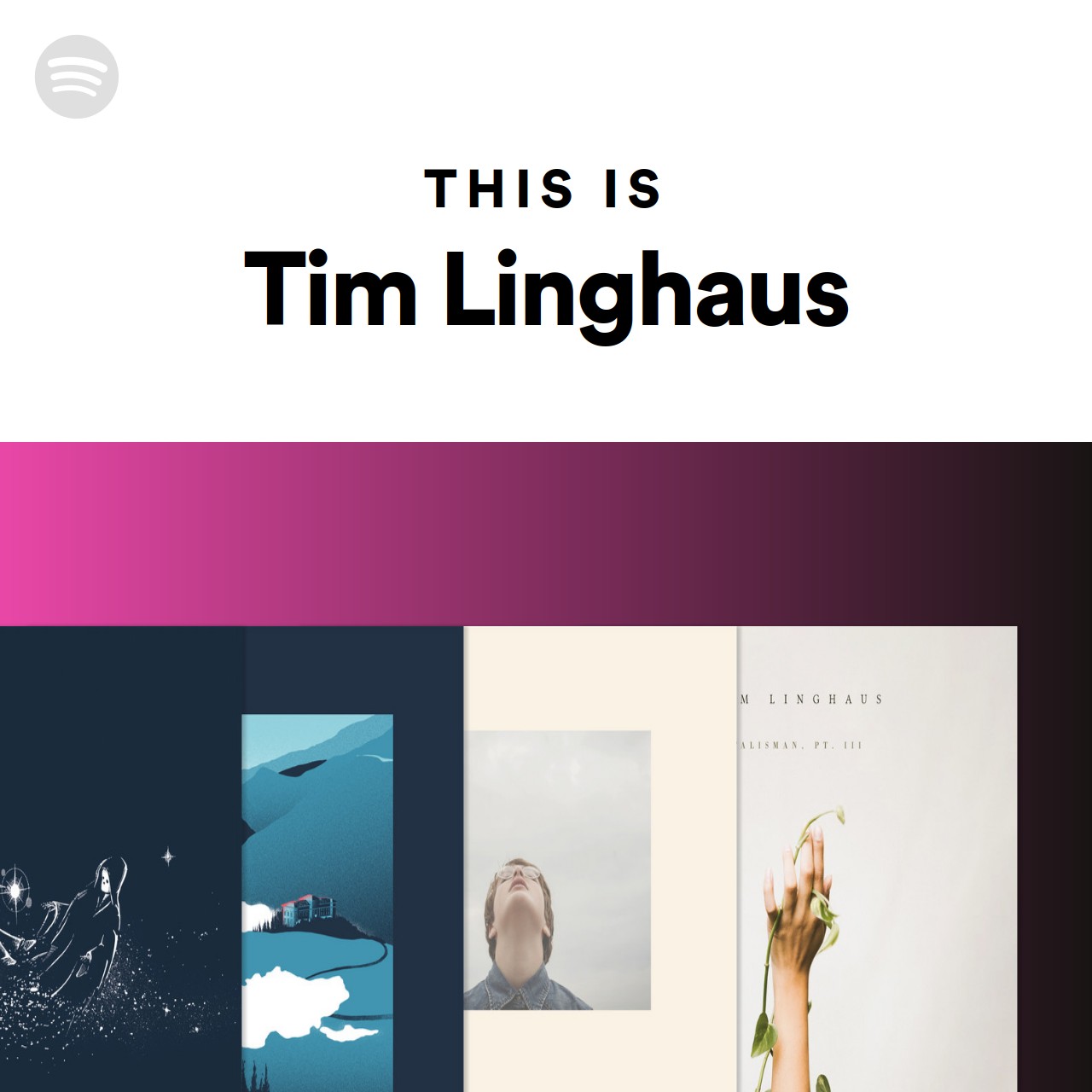 This Is Tim Linghaus Spotify Playlist