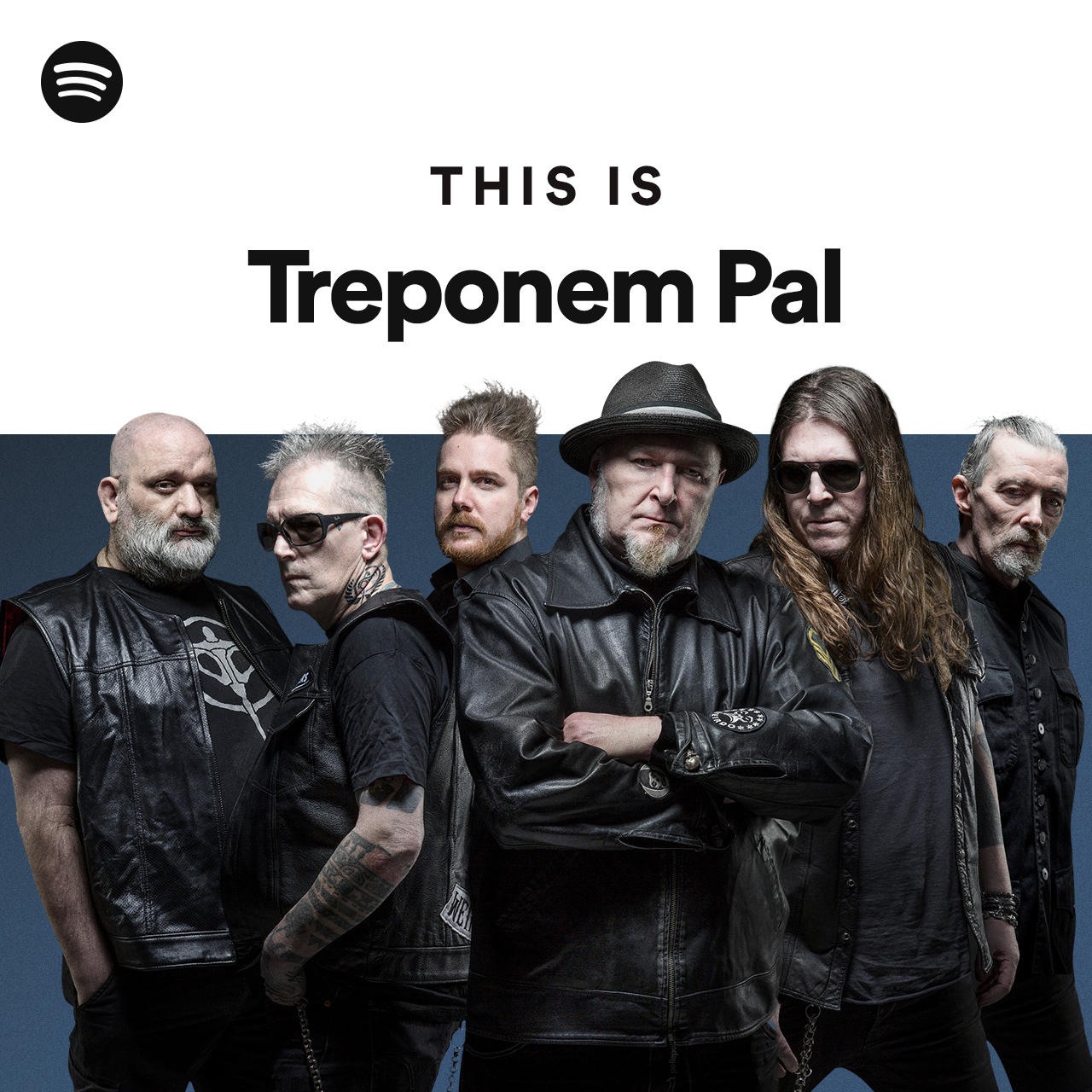 This Is Treponem Pal Spotify Playlist