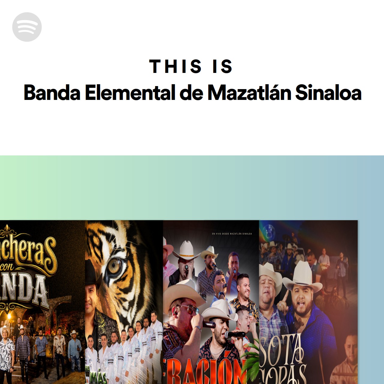 This Is Banda Elemental de Mazatlán Sinaloa | Spotify Playlist