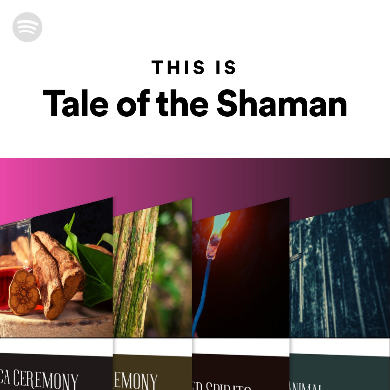 This Is Tale of the Shaman