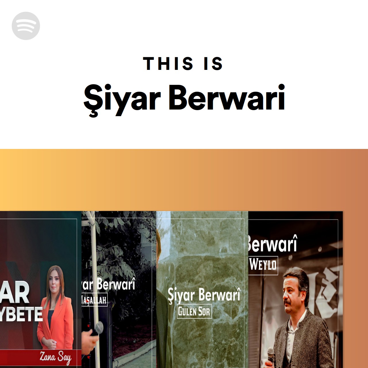 This is iyar berwari spotify playlist
