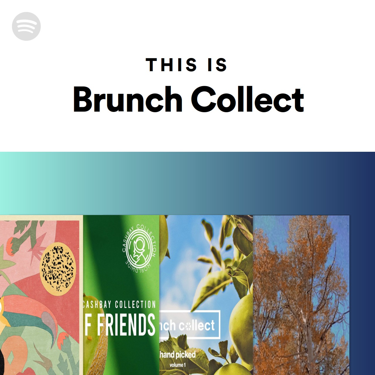 This Is Brunch Collect Spotify Playlist