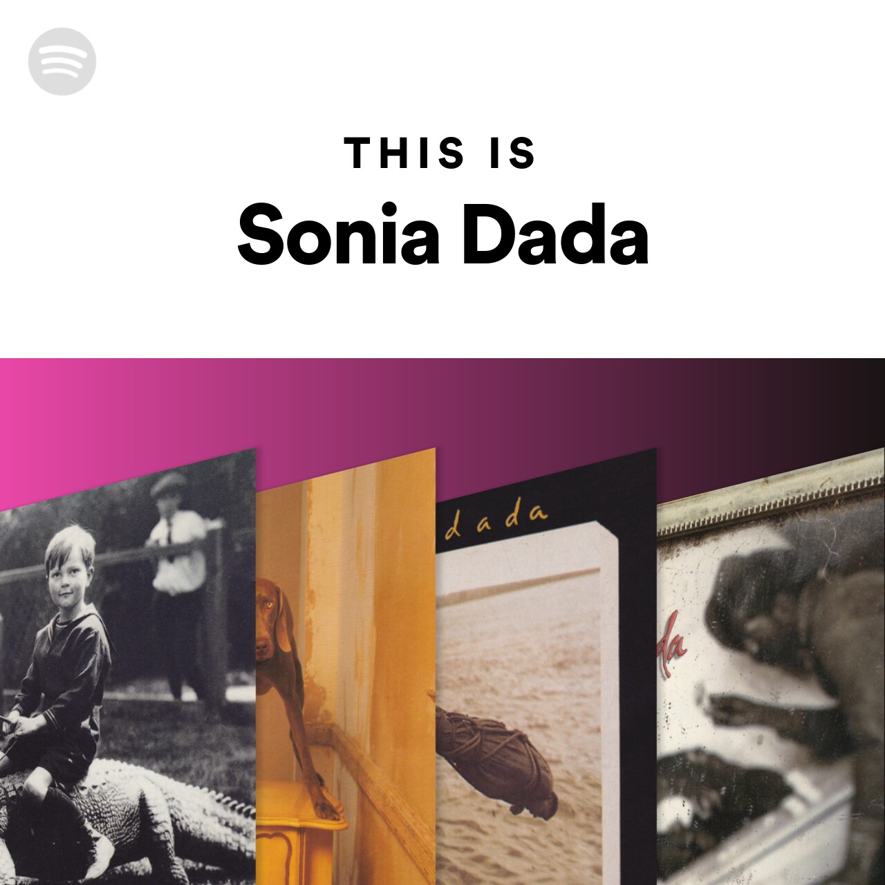 This Is Sonia Dada Spotify Playlist