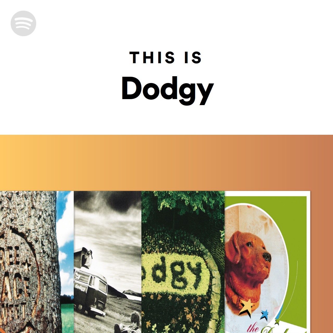 this-is-dodgy-spotify-playlist