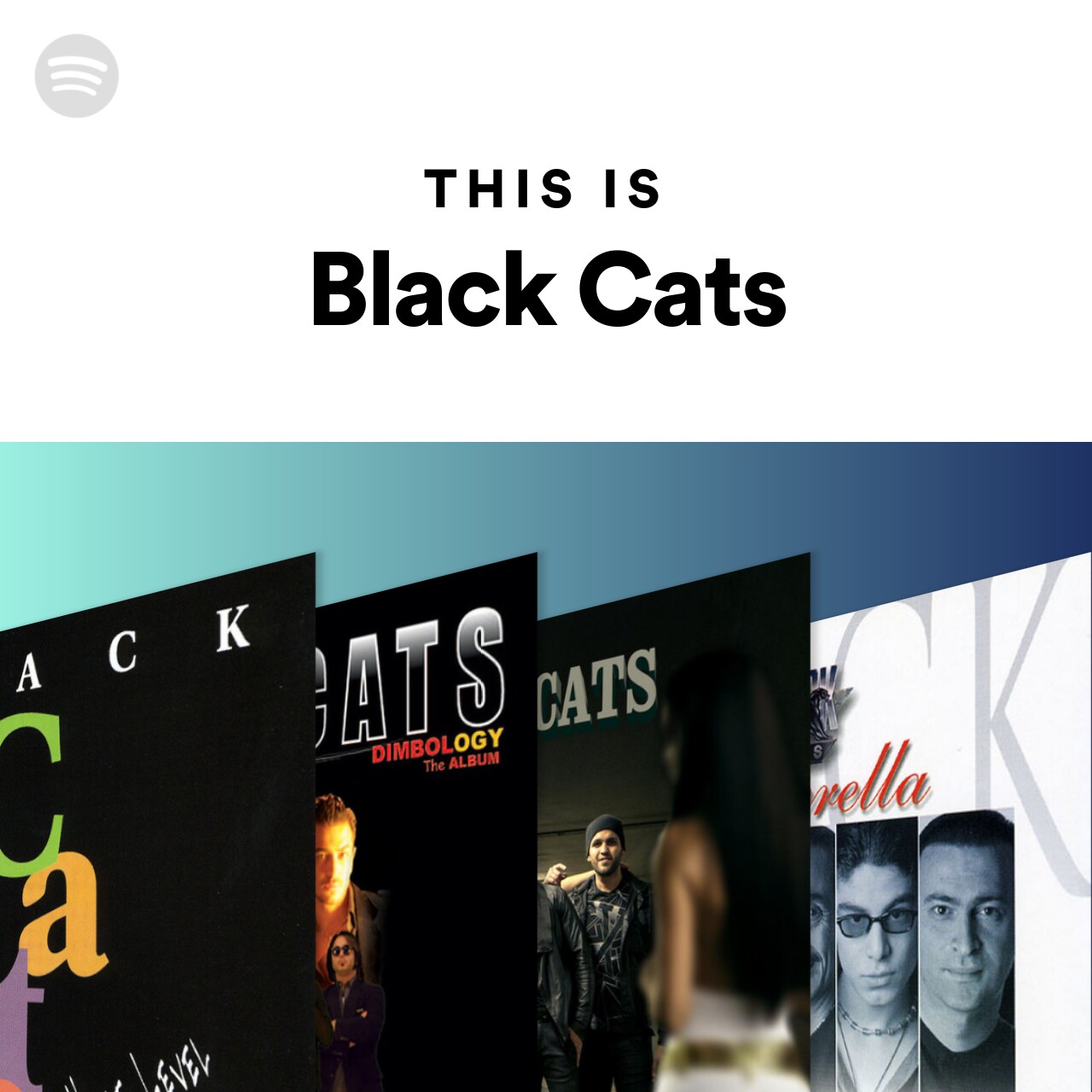 This Is Black Cats | Spotify Playlist