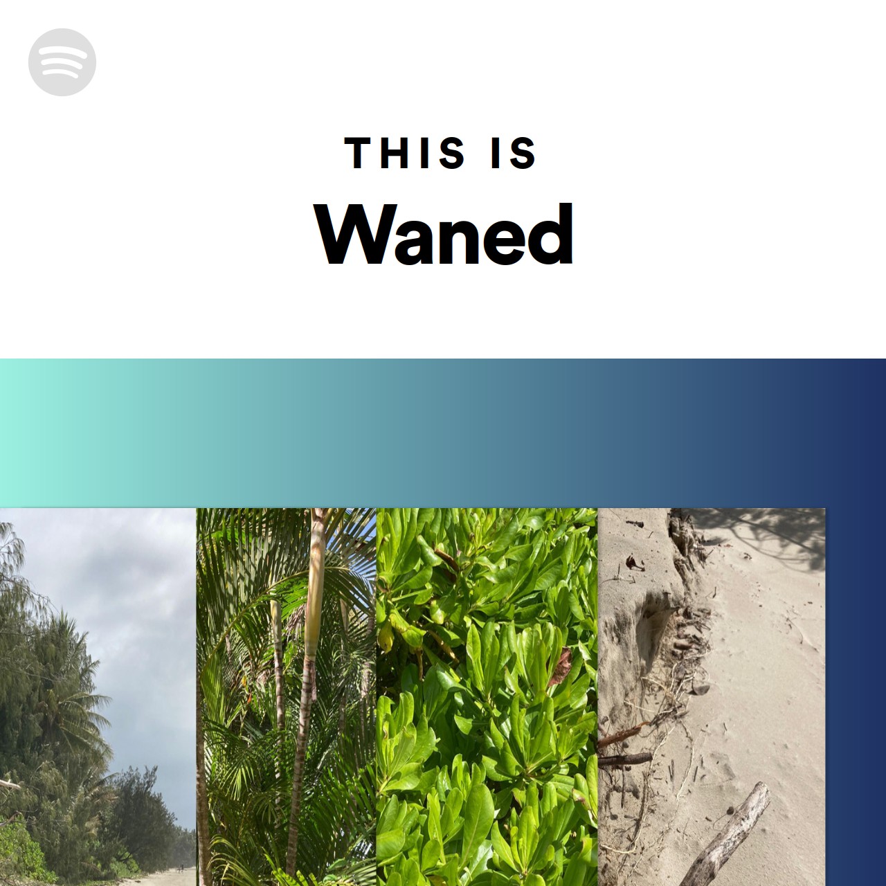 This Is Waned Spotify Playlist