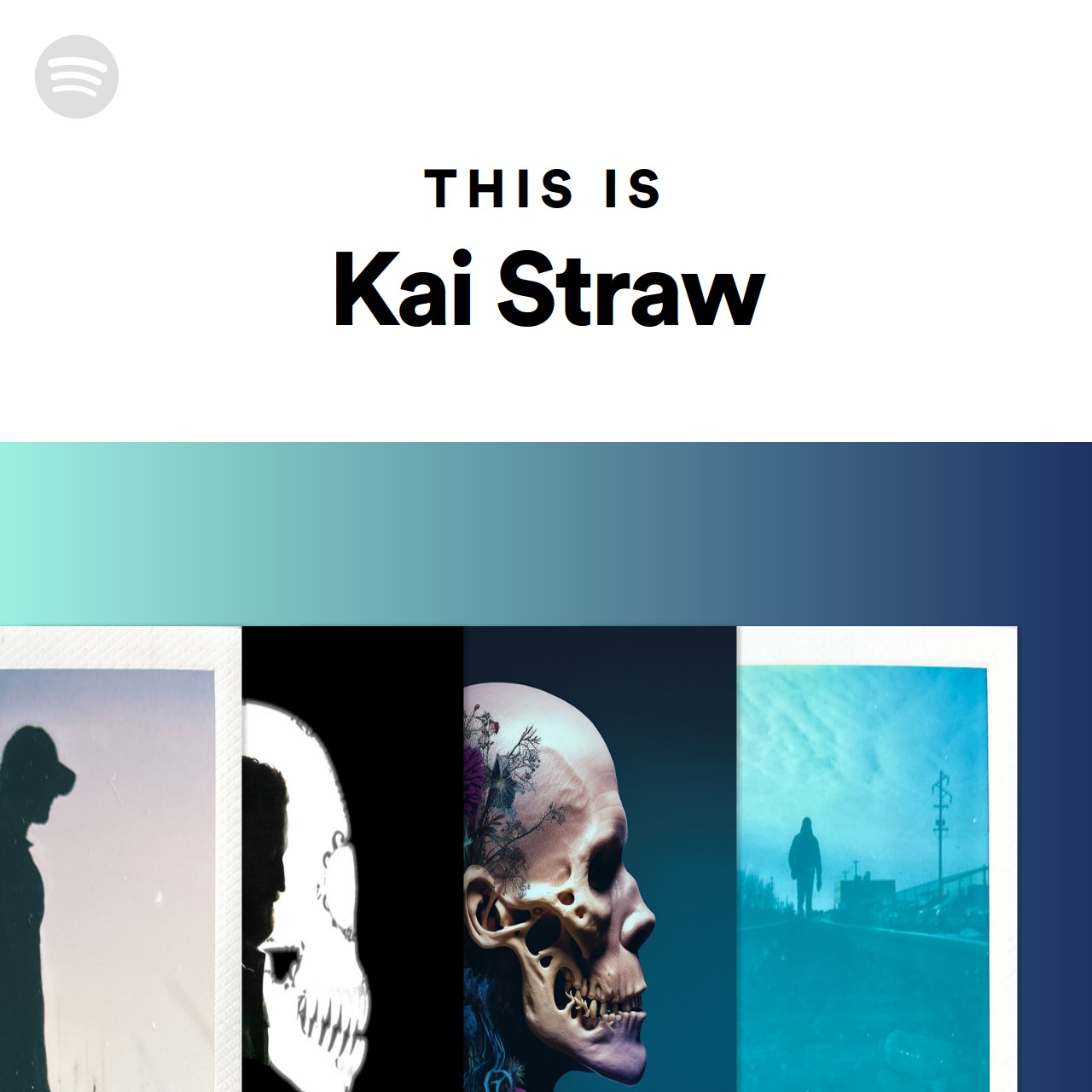 This Is Kai Straw Spotify Playlist