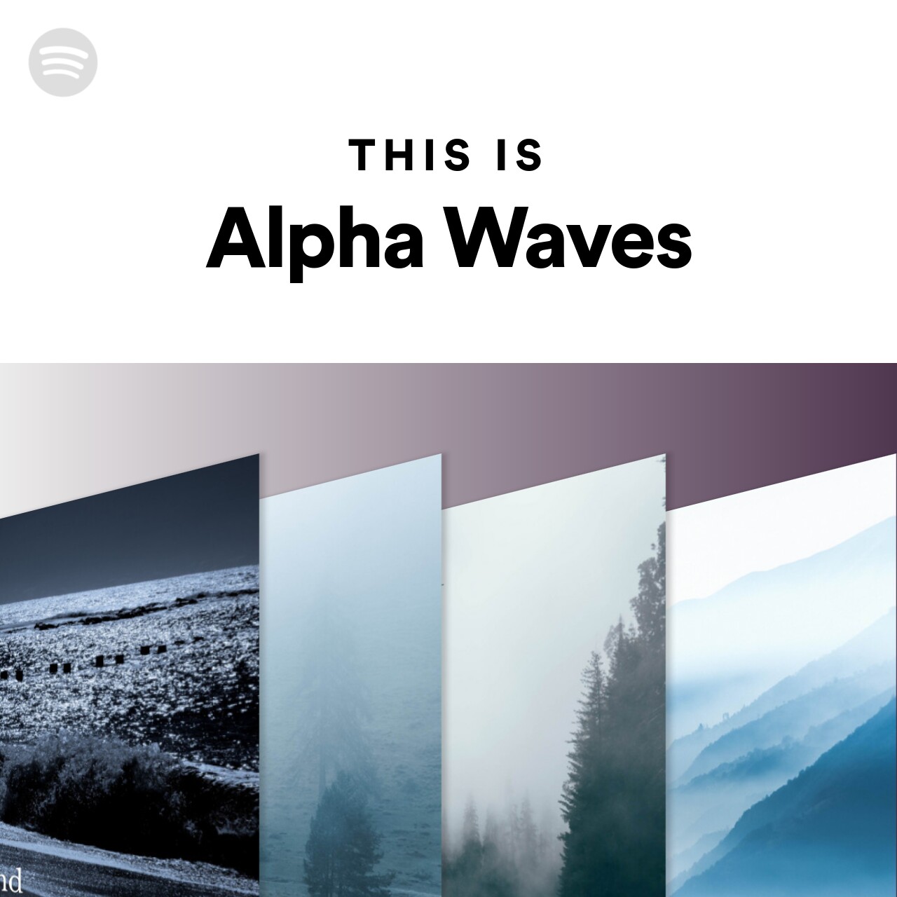 This Is Alpha Waves