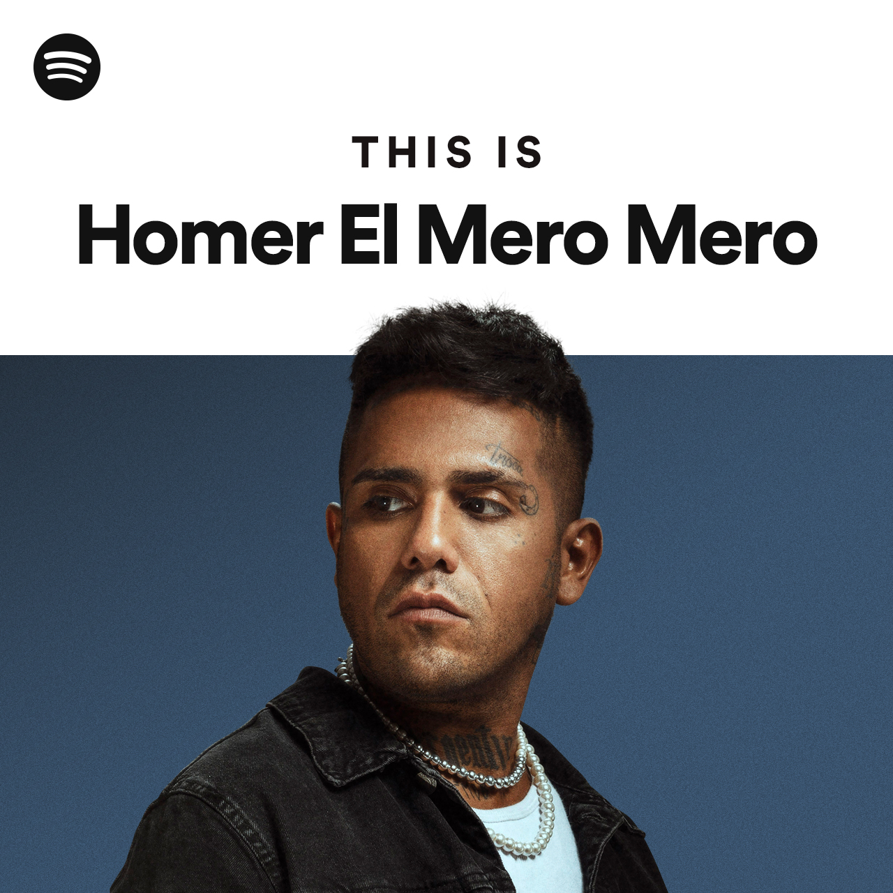 this-is-homer-el-mero-mero-spotify-playlist