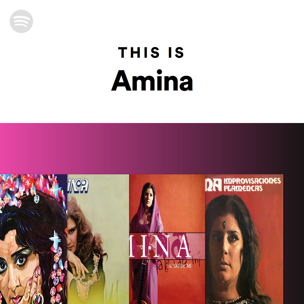 This Is Amina Spotify Playlist