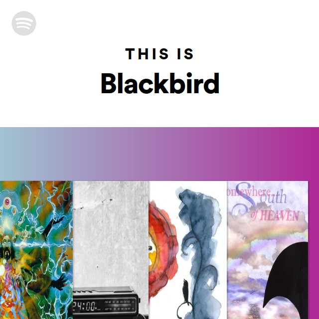 This Is Blackbird - playlist by Spotify | Spotify