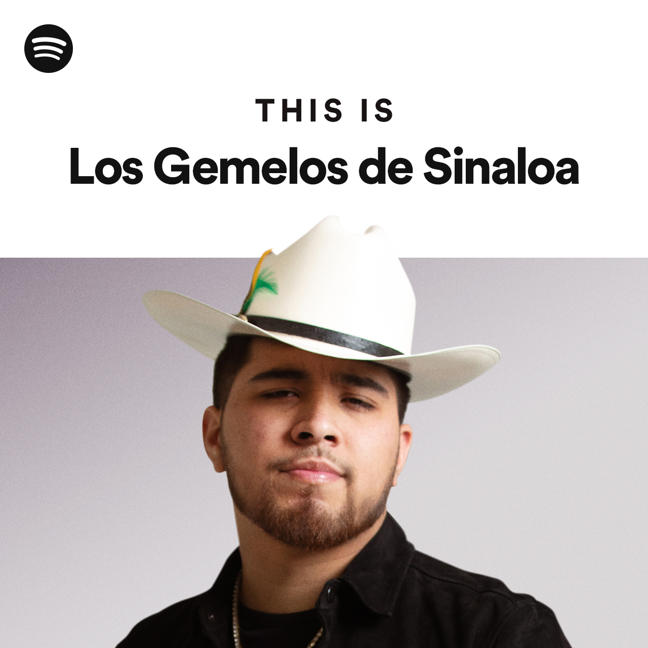 This Is Los Gemelos De Sinaloa Spotify Playlist