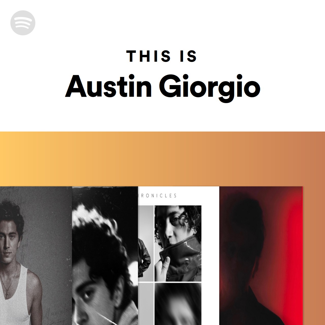 This is austin giorgio spotify playlist