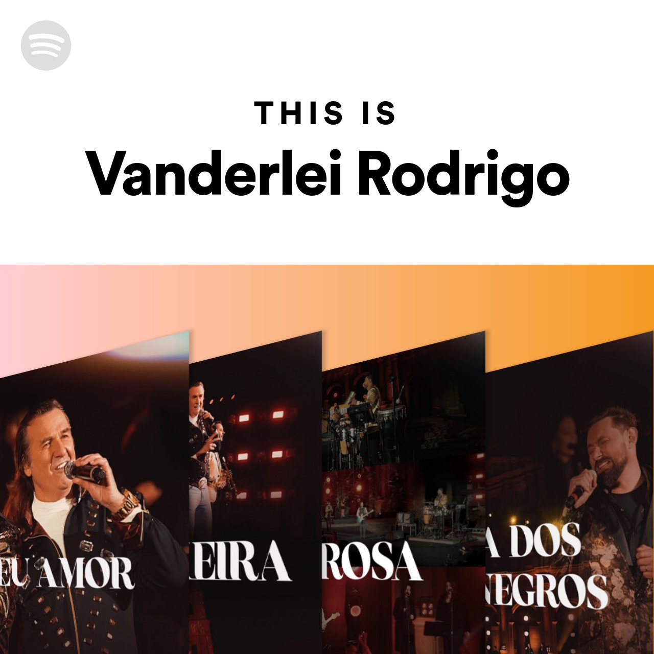This Is Vanderlei Rodrigo | Spotify Playlist