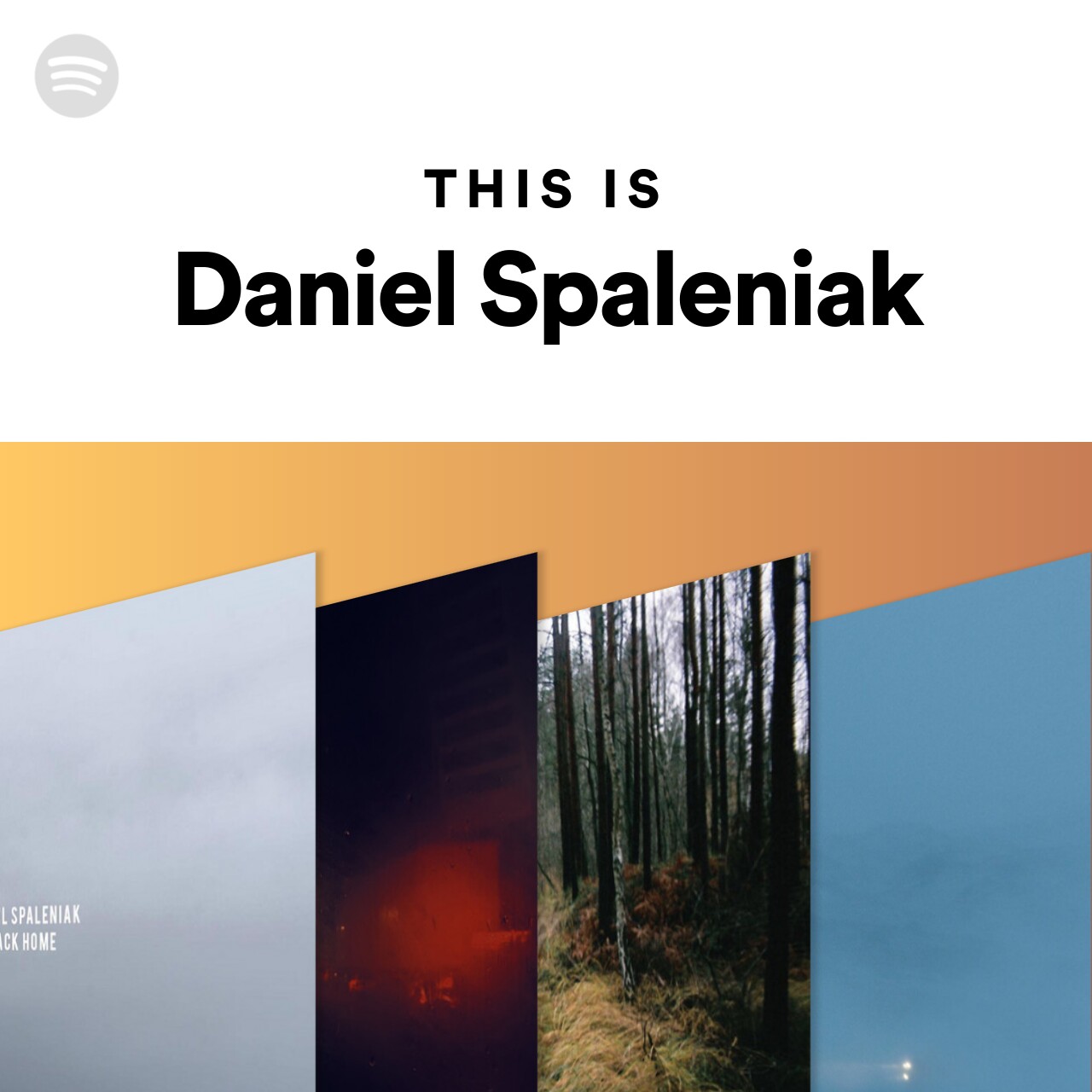 This Is Daniel Spaleniak | Spotify Playlist