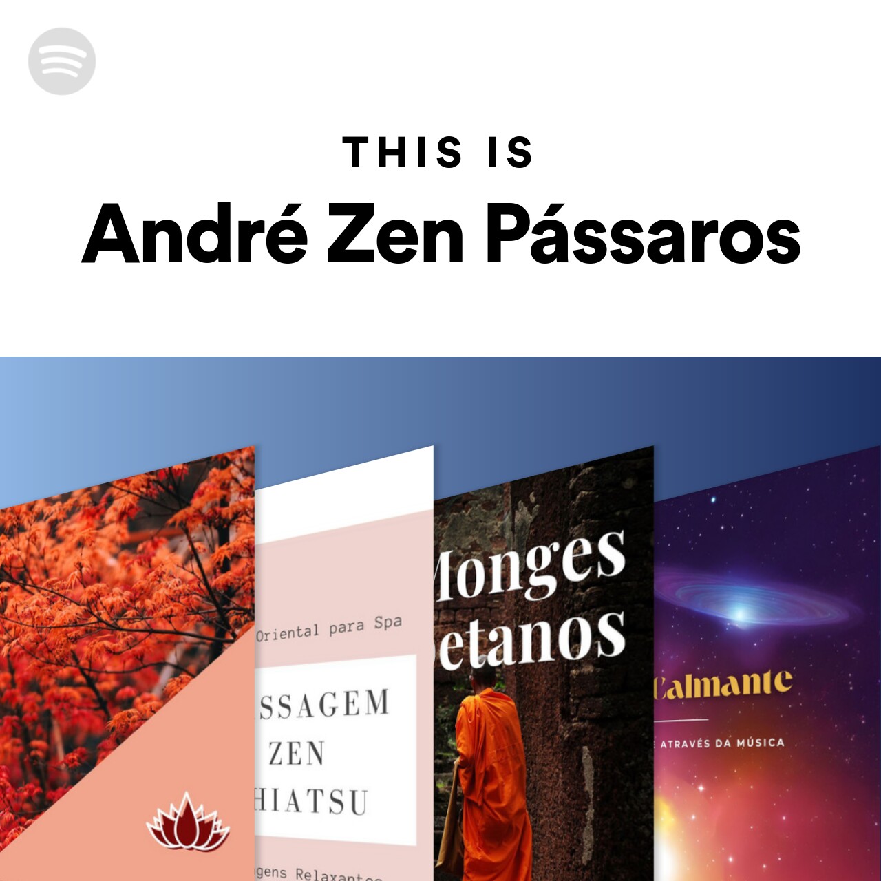 This Is André Zen Pássaros | Spotify Playlist