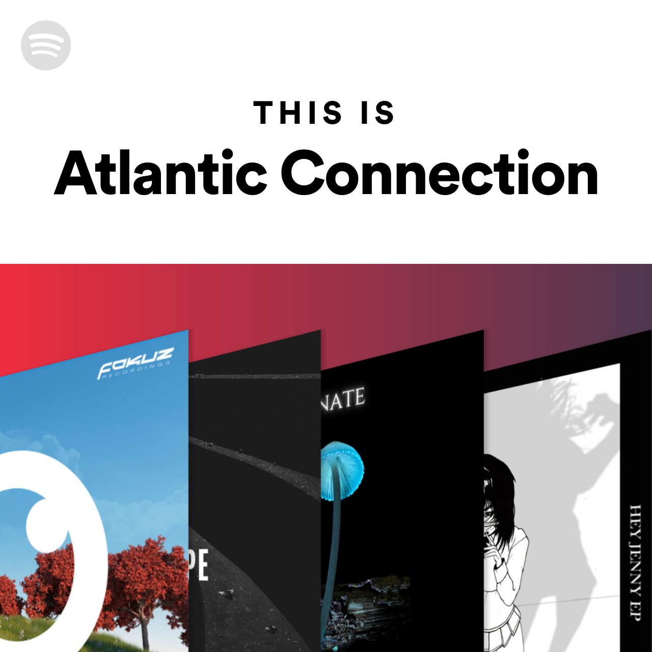 This Is Atlantic Connection
