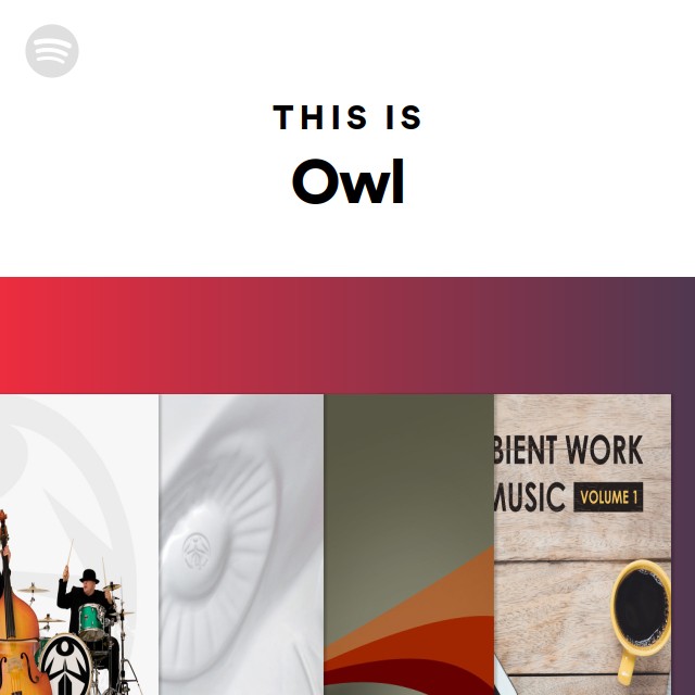 Owl | Spotify