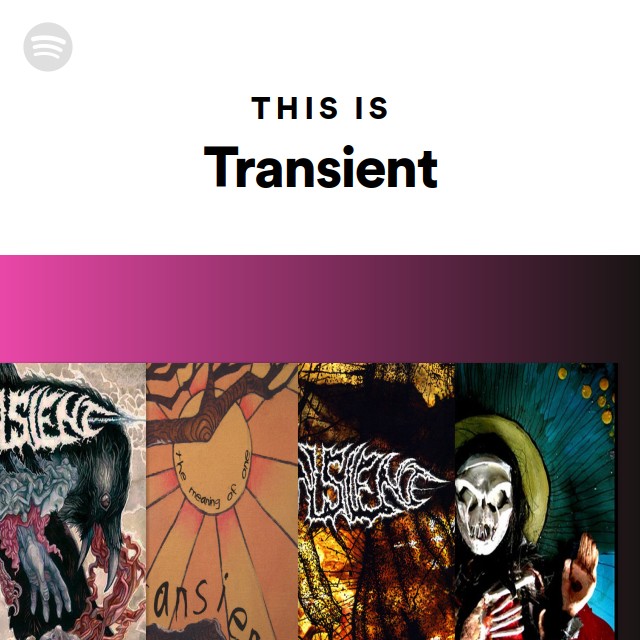 Transient | Spotify