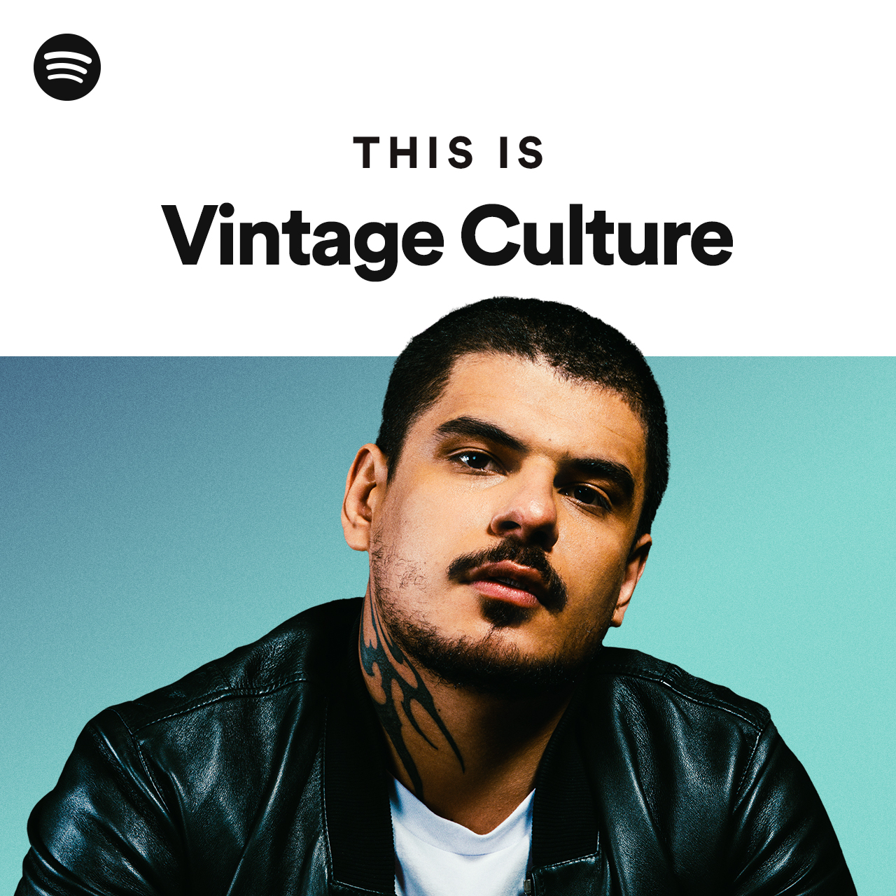 this-is-vintage-culture-playlist-by-spotify-spotify