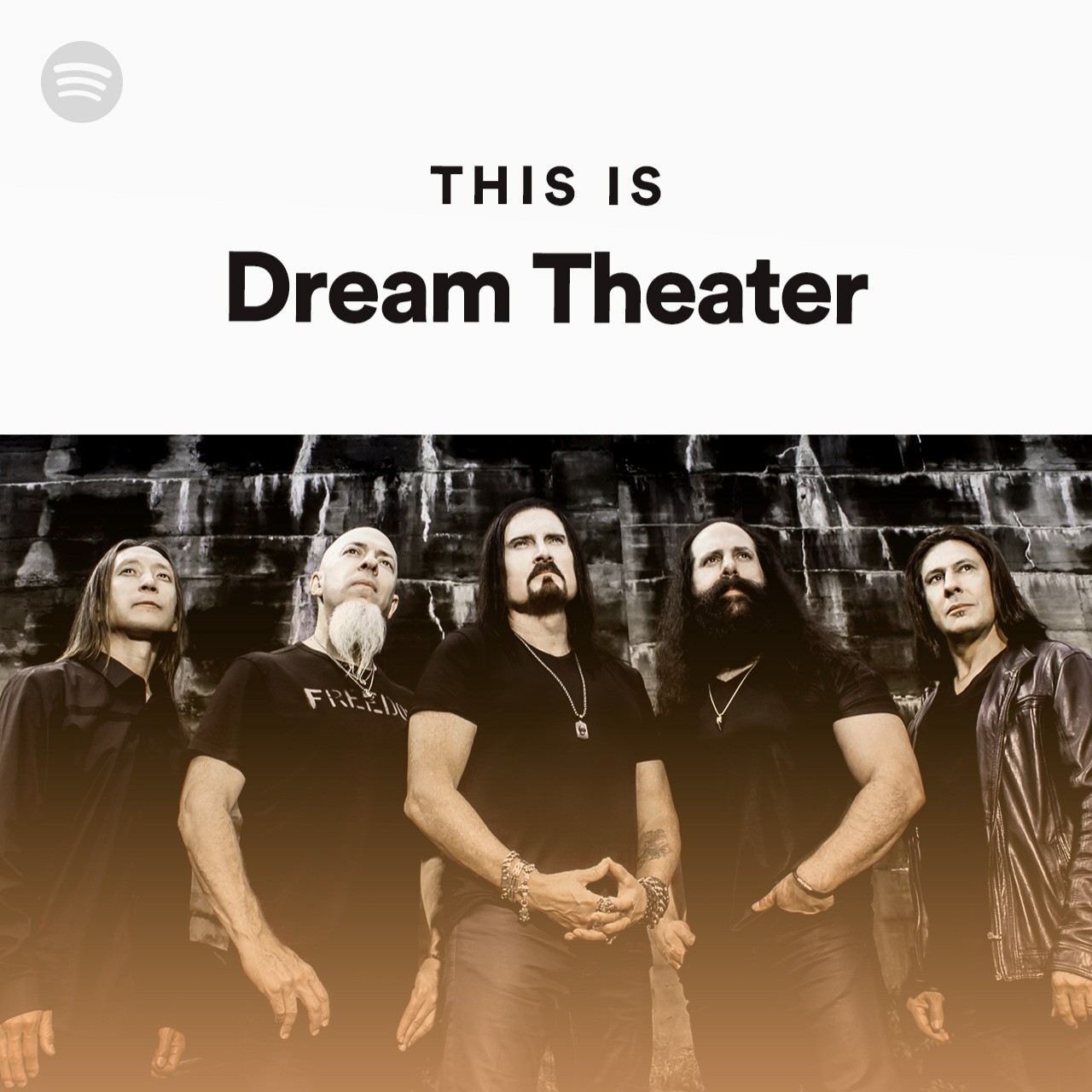 Theater песня. Dream Theater Band. Dream Theater memes. Dream Theater Pony. Dream Theater made in Japan photo.