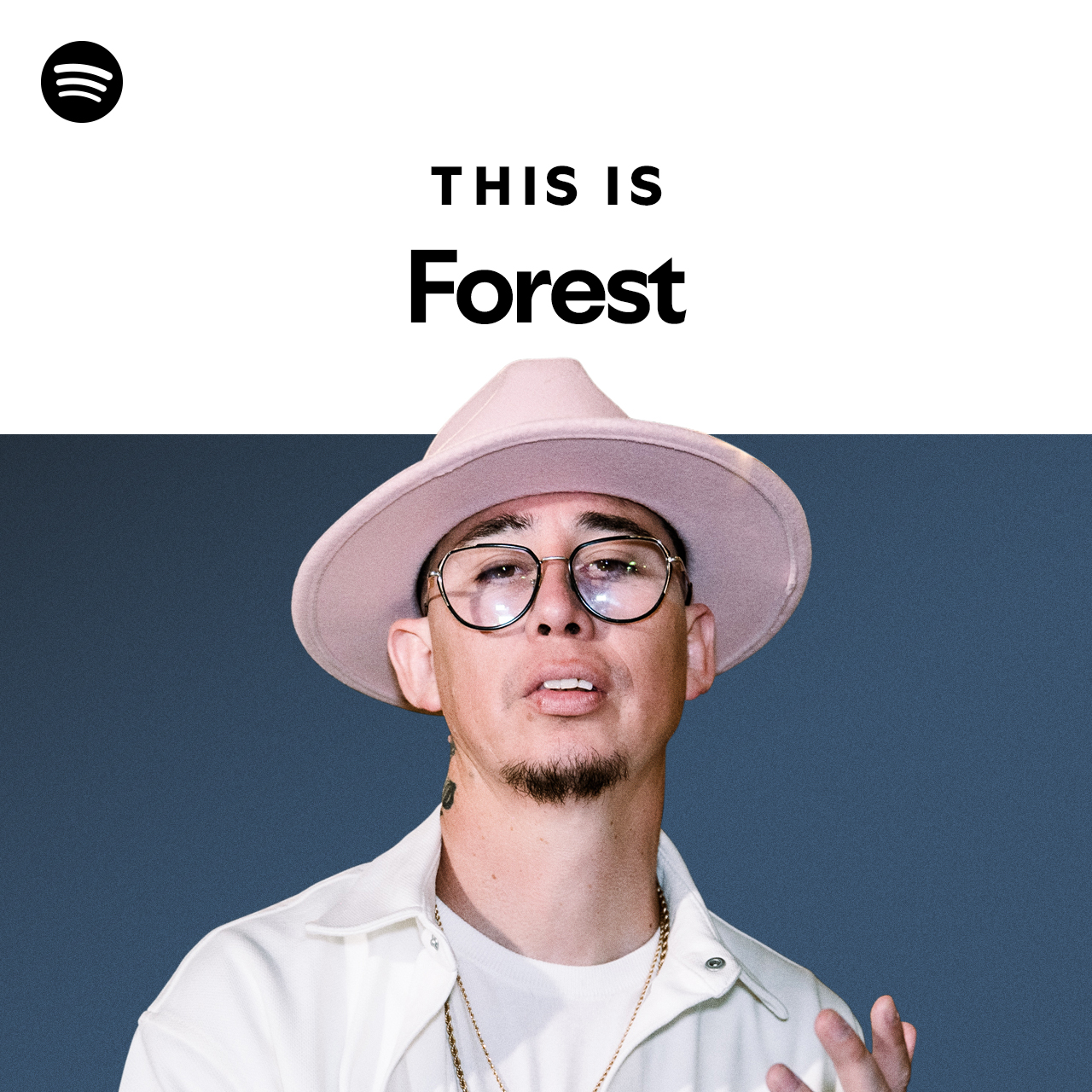 this-is-forest-playlist-by-spotify-spotify