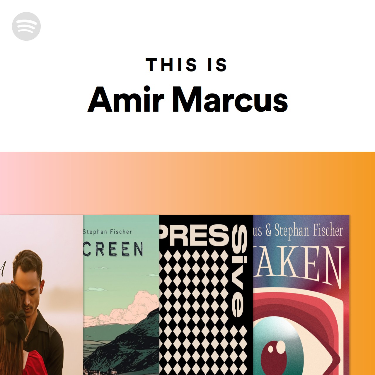 This Is Amir Marcus | Spotify Playlist