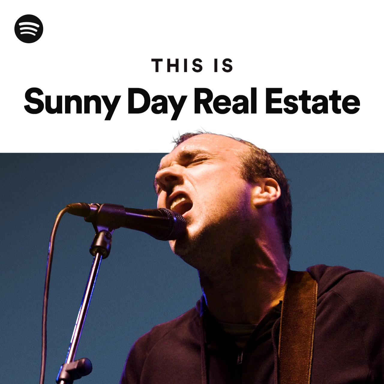 This Is Sunny Day Real Estate Spotify Playlist 