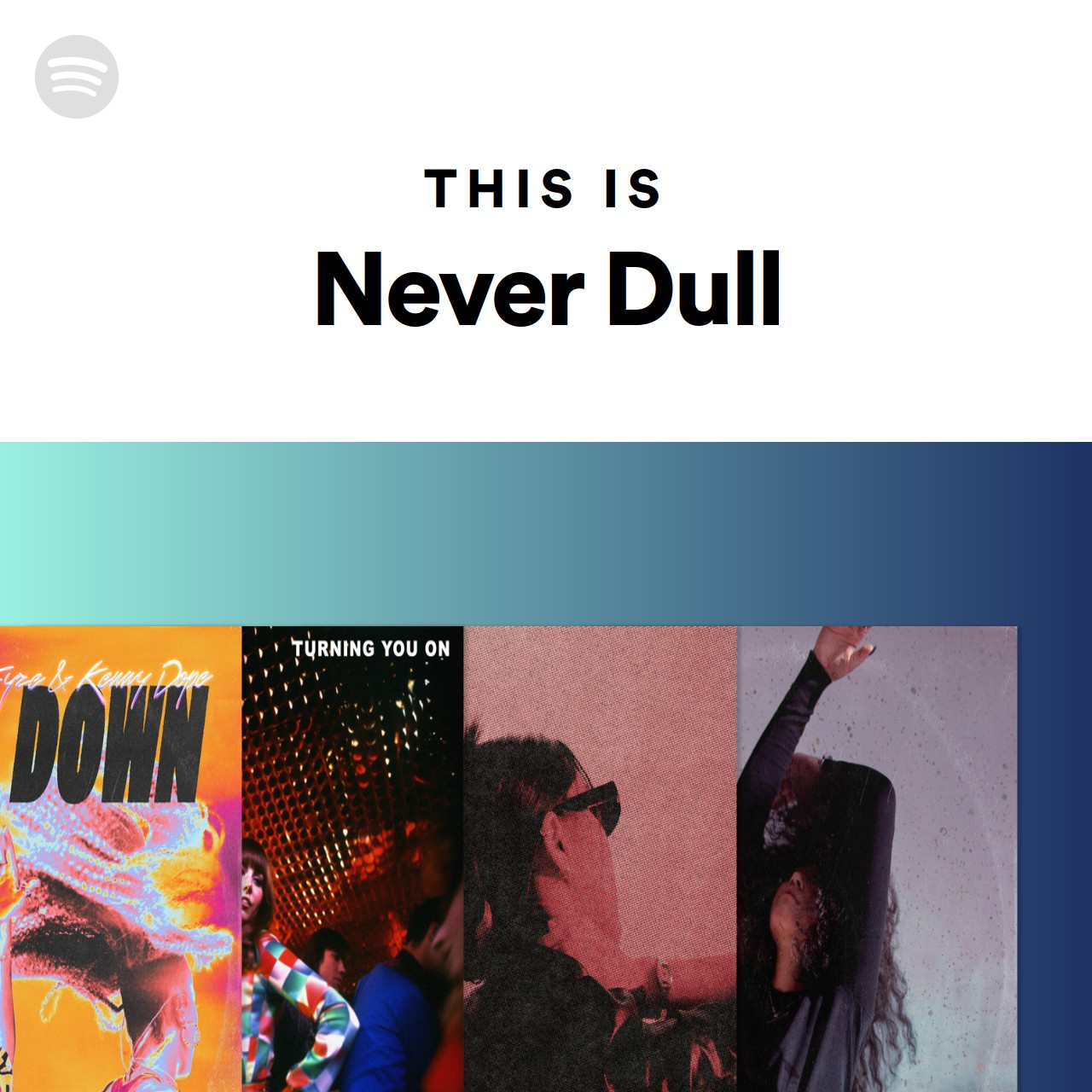 this-is-never-dull-spotify-playlist