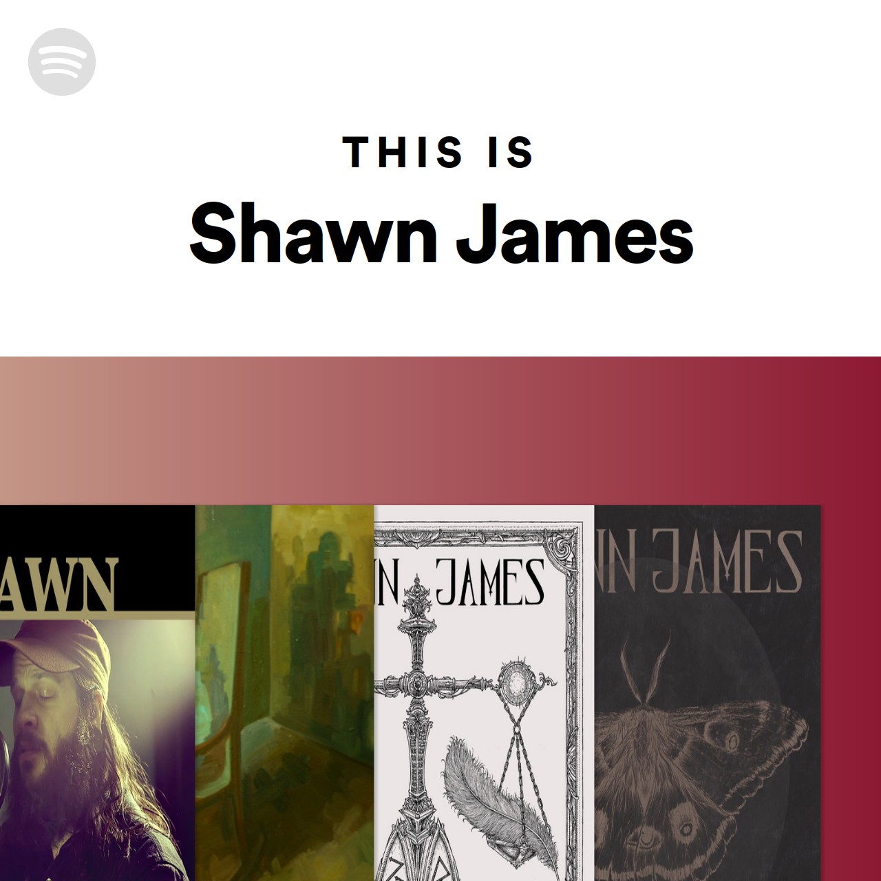 This Is Shawn James Spotify Playlist