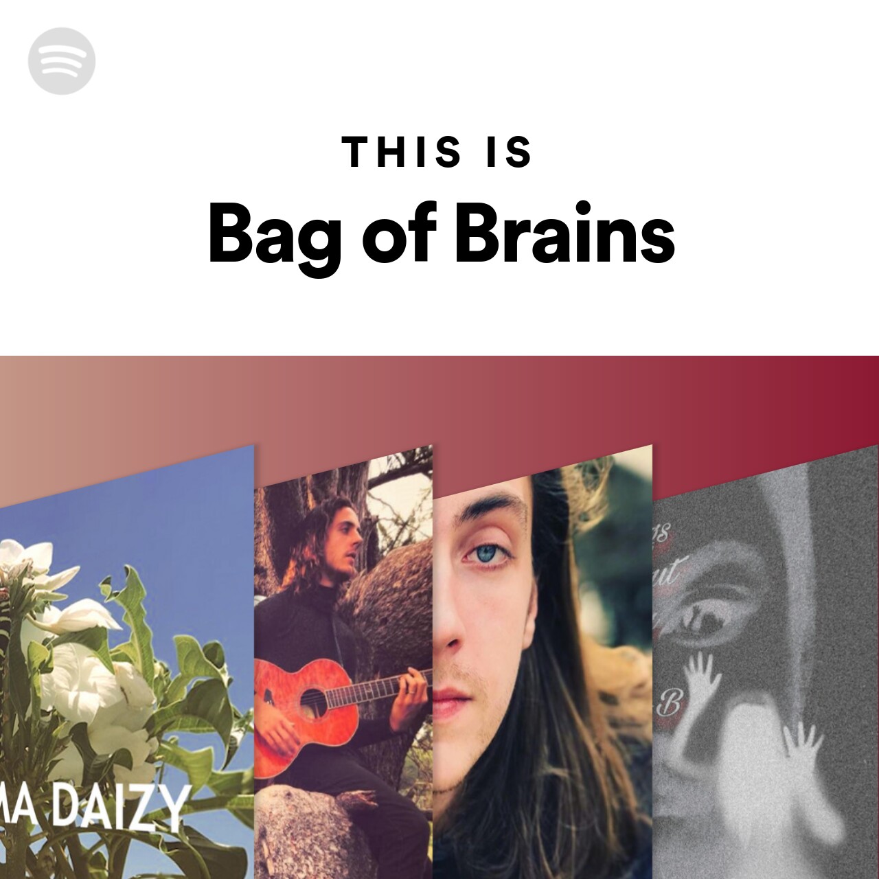 This Is Bag of Brains
