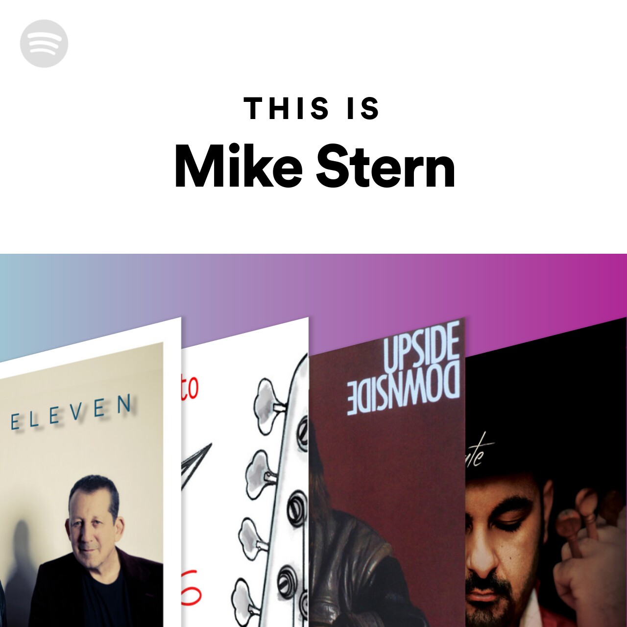 This Is Mike Stern Spotify Playlist
