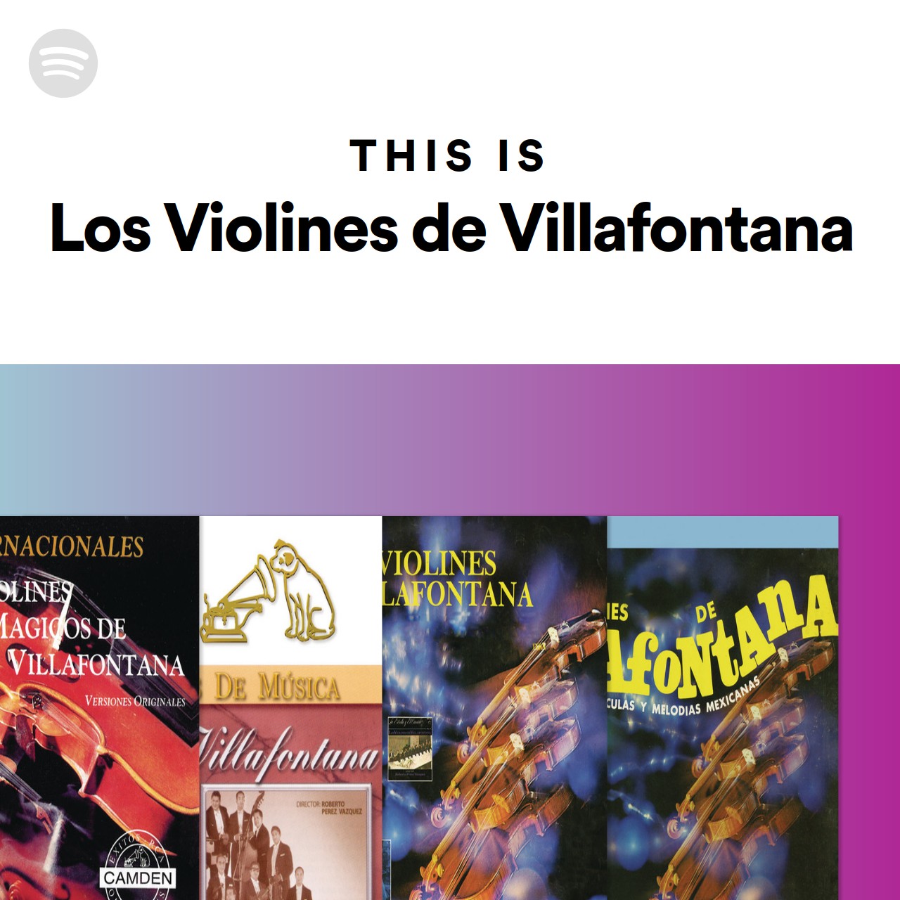 stellenangebote violine