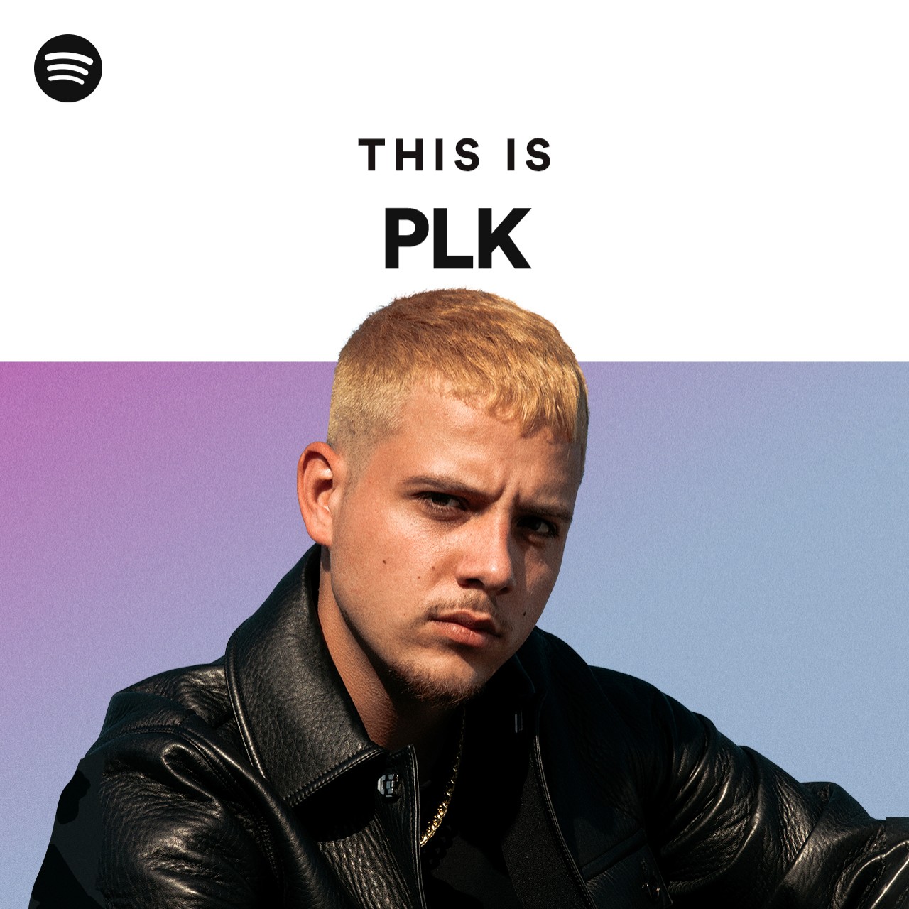 this-is-plk-spotify-playlist