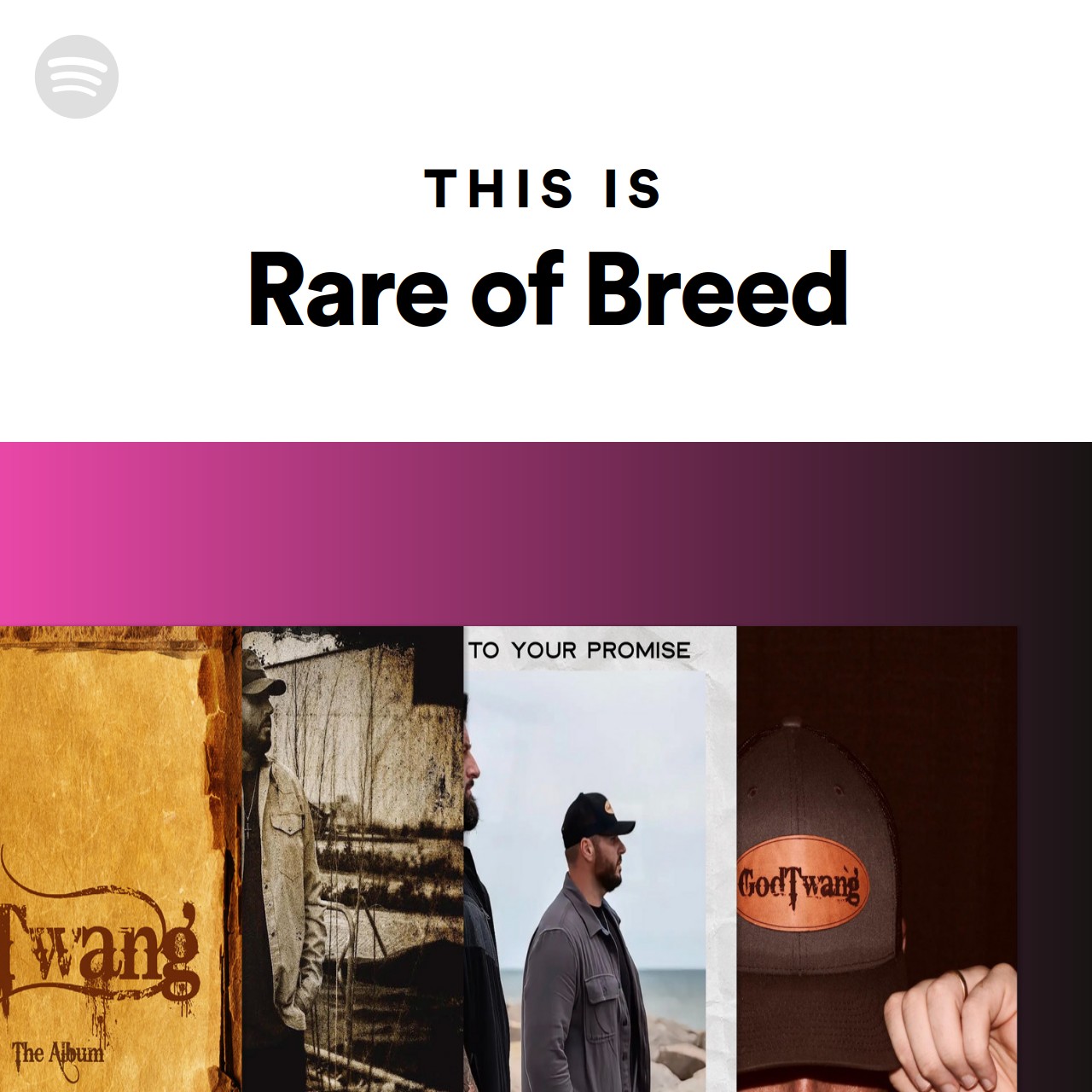 This Is Rare of Breed Spotify Playlist