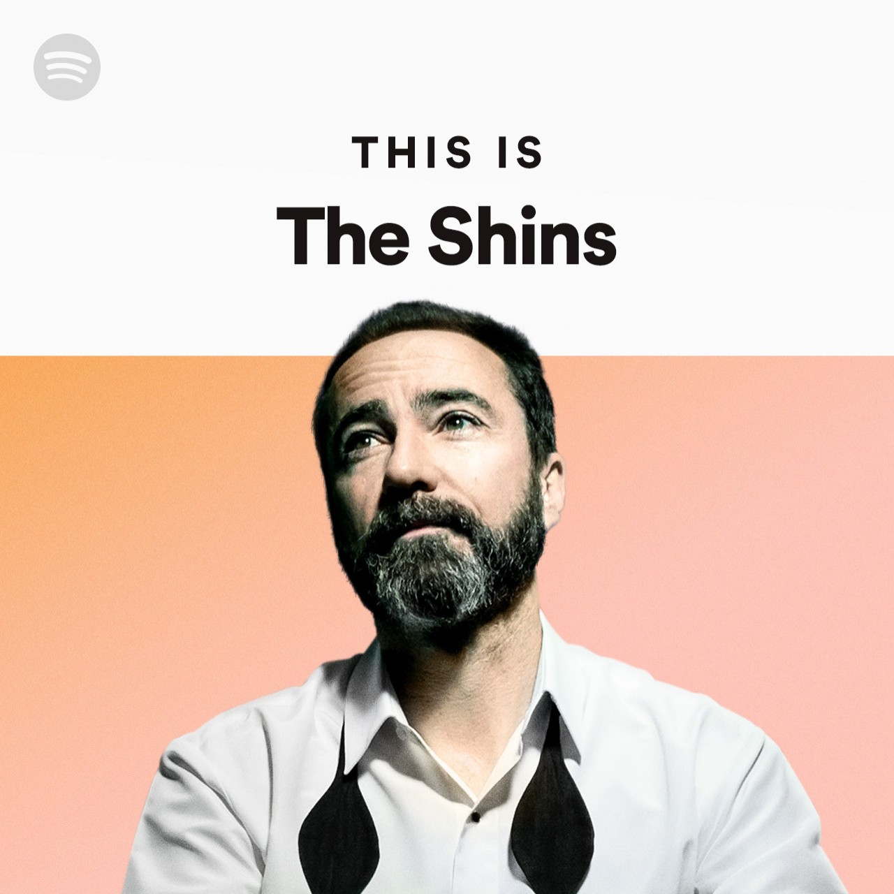 this-is-the-shins-spotify-playlist