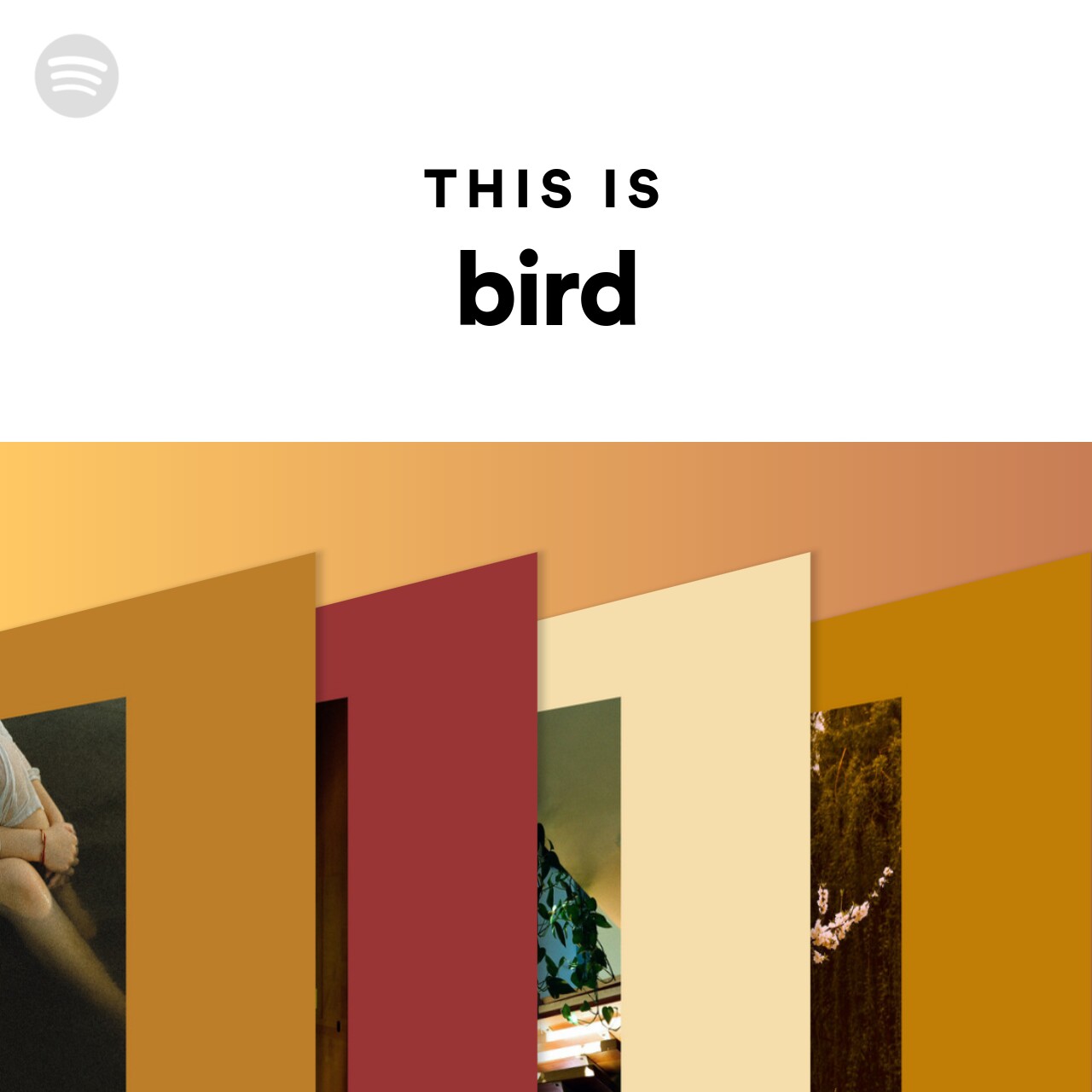 This Is bird
