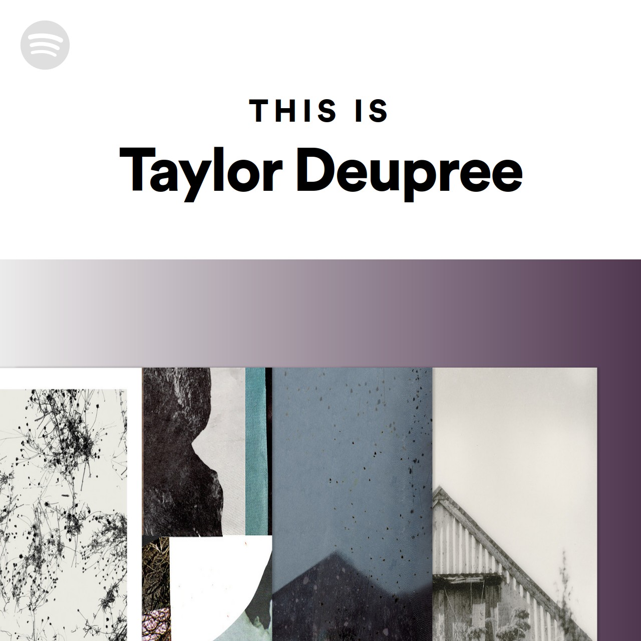 This Is Taylor Deupree Spotify Playlist