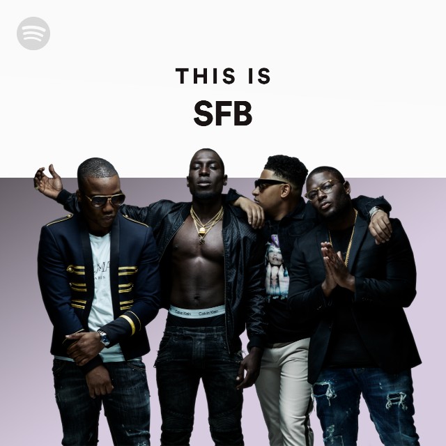 sfb 2