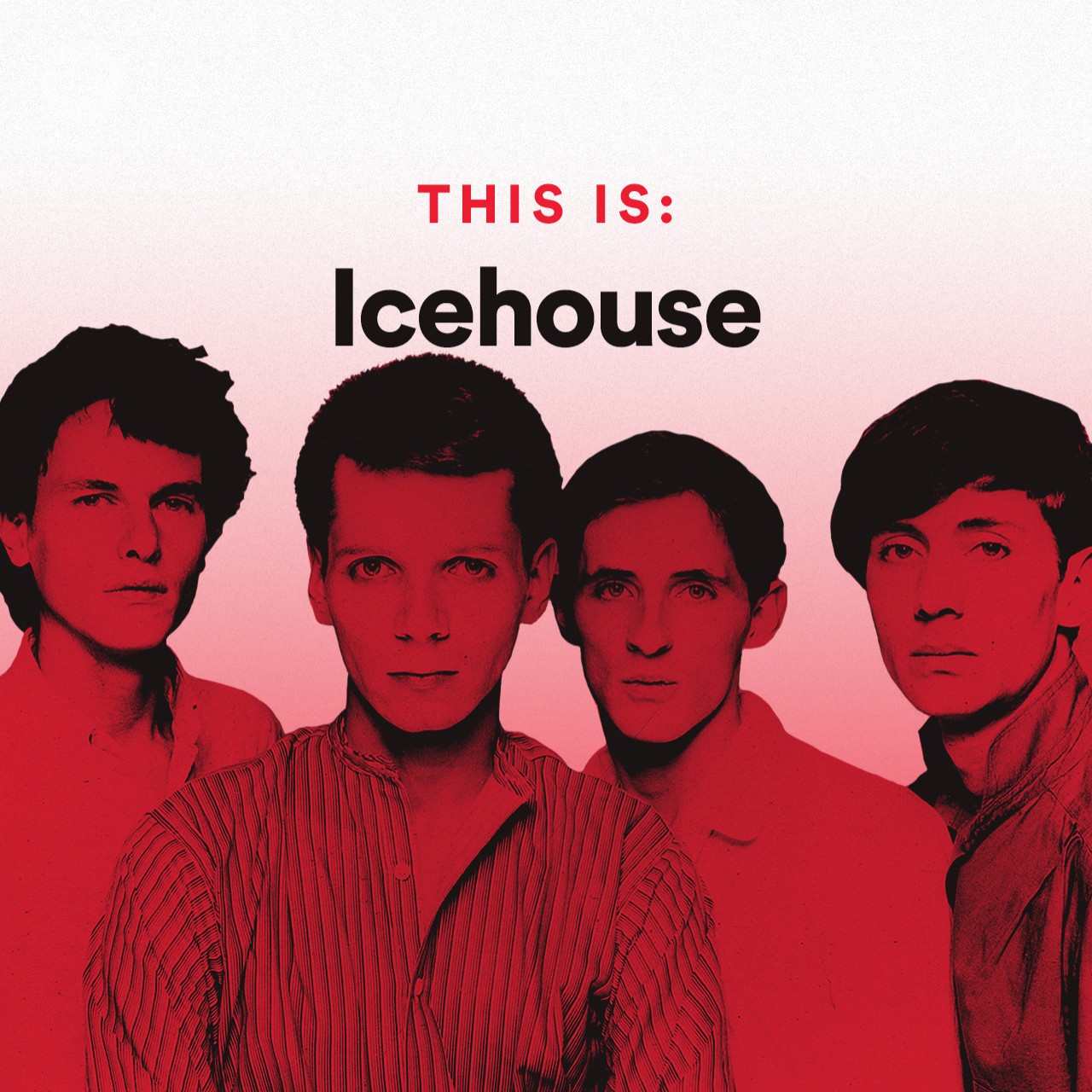 This Is ICEHOUSE Spotify Playlist