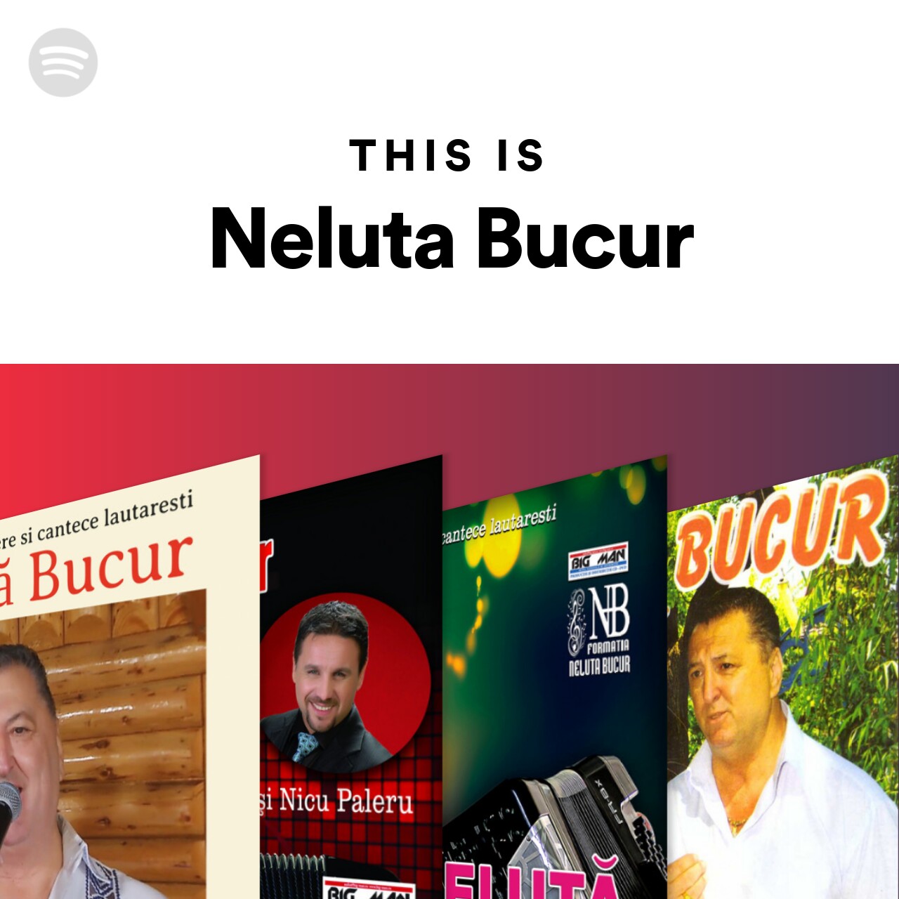Reason Looting Tectonic This Is Neluta Bucur | Spotify Playlist