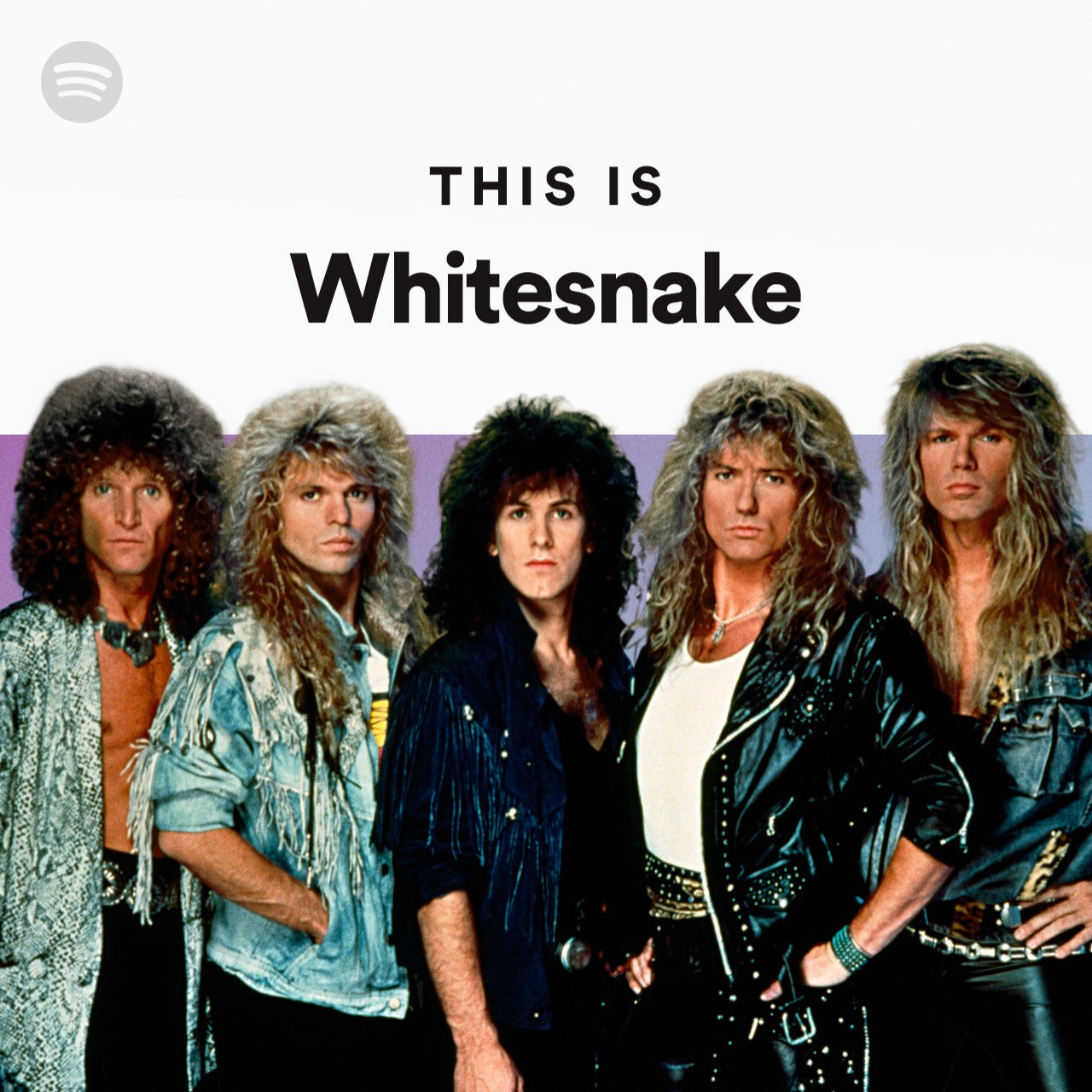 this-is-whitesnake-spotify-playlist