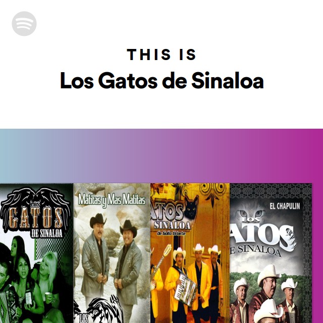 This Is Los Gatos de Sinaloa - playlist by Spotify | Spotify