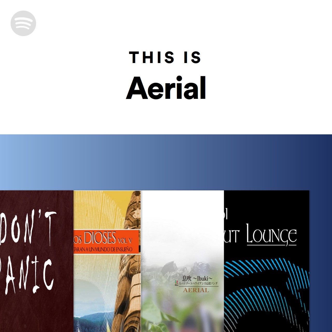 This Is Aerial