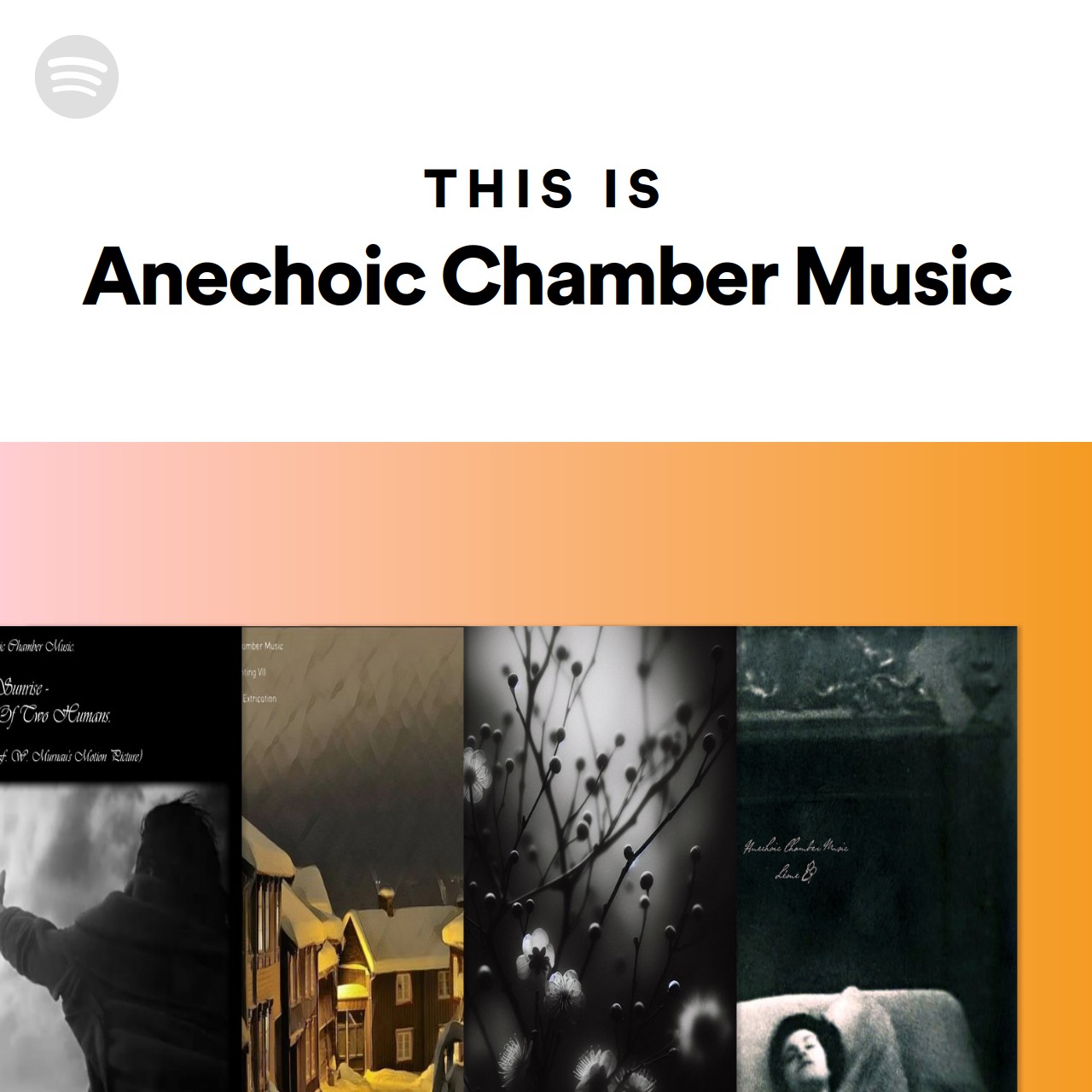 This Is Anechoic Chamber Music Spotify Playlist