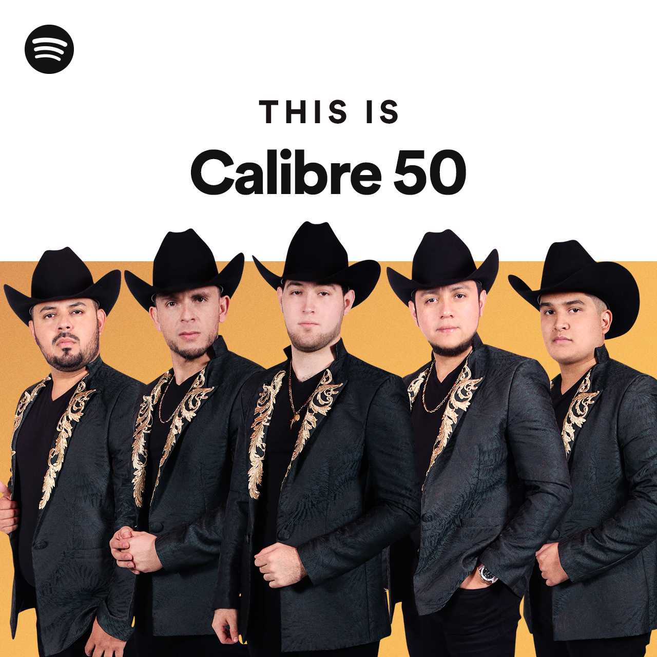 This Is Calibre 50 Spotify Playlist