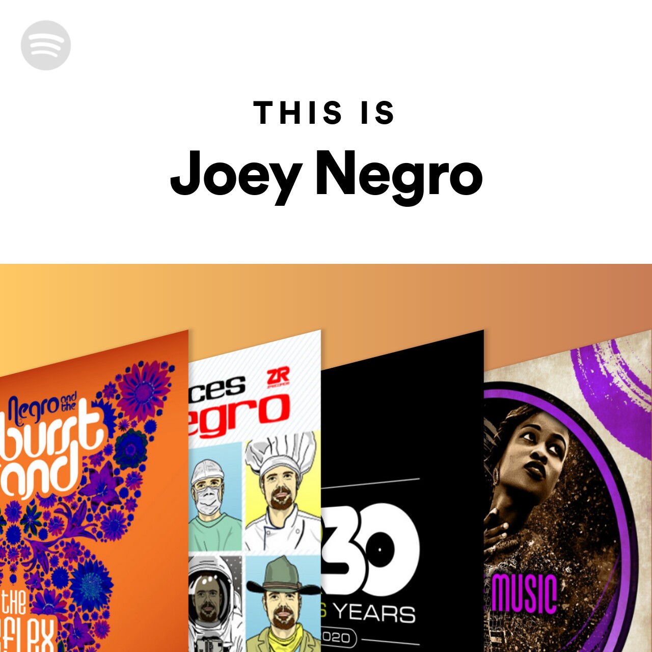 This Is Joey Negro by spotify Spotify Playlist